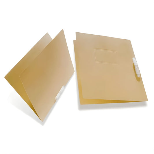 CARPETA NORMA LEGAJADORA DESACIFICADA # 13 300 GR 502367