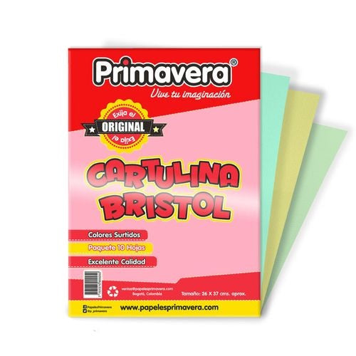 CARTULINA BRISTOL 1/8 PAQ * 10